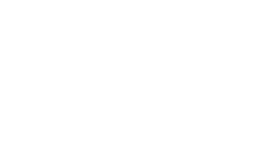 The Solo Logo